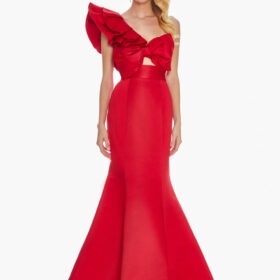 Red One Shoulder Fit & Flare Gown