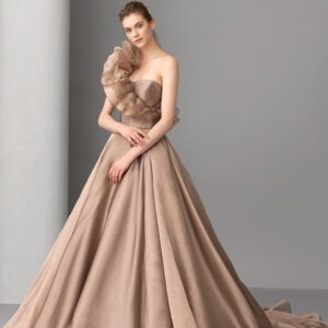 Bronze Brown Trail Gown With Frill Side Yoke