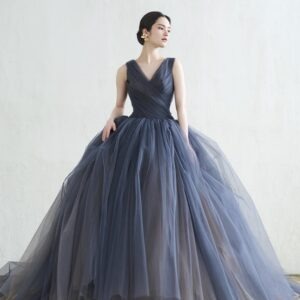 Ombre Full Flared Trail Gown
