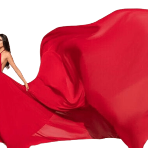 pre wedding Photoshoot gown