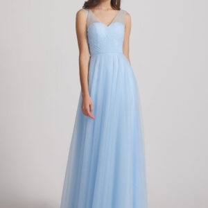 Light Blue With Transparent Back Gown