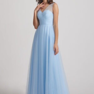 Light Blue With Transparent Back Gown