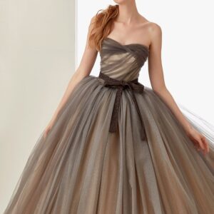 Brown & Beige Dual Colored Trail Gown For Pre-Wedding Photoshoot